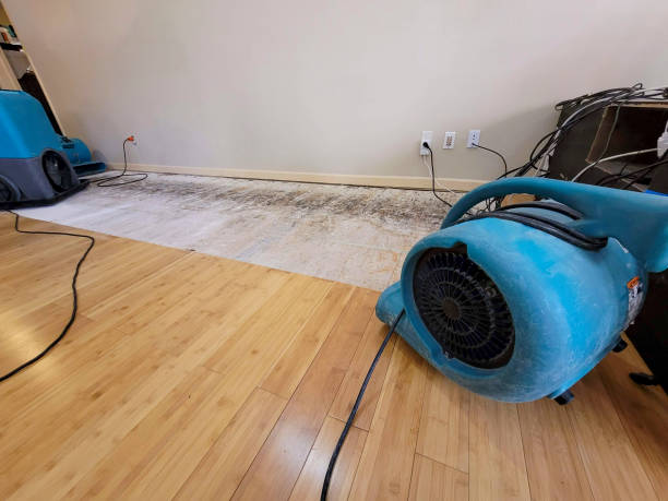 Professional Water Damage Repair technician working in Baldwin, FL